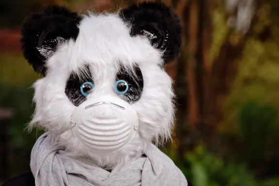 Casino of Dreams Soporte